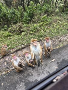 Horton Plains NP welcome team